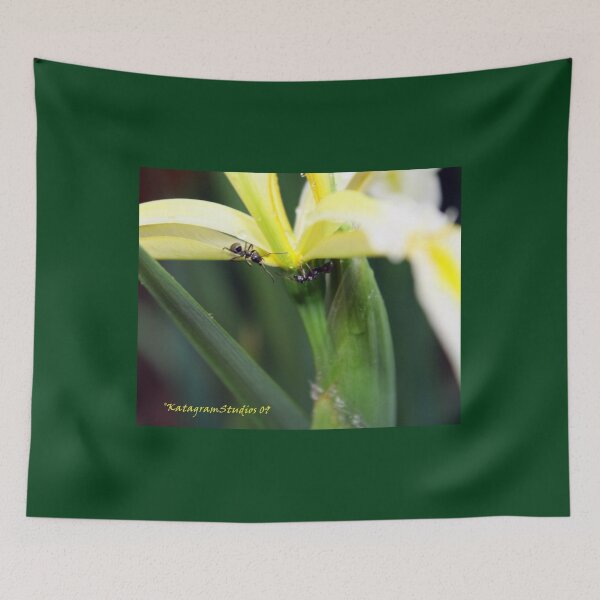 Item preview, Ants On My Plants? designed and sold by Katagram.