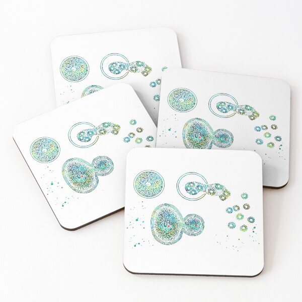 Item preview, Amoeba Cell Division Stages designed and sold by EvasDreams.