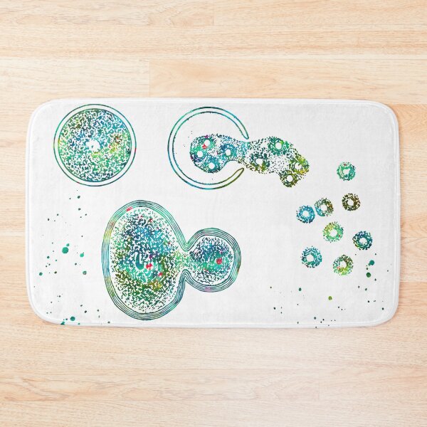 Item preview, Amoeba Cell Division Stages designed and sold by EvasDreams.
