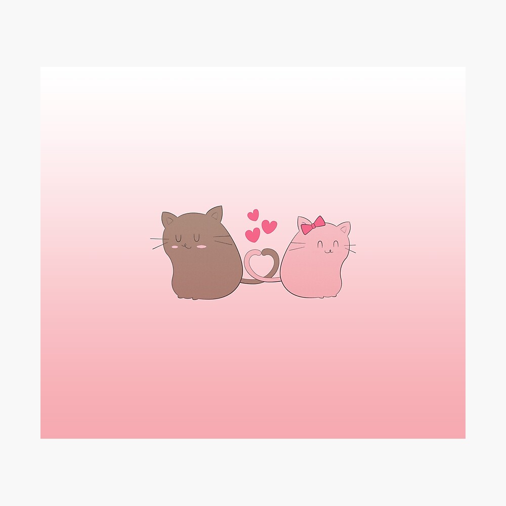 Cute Cat Love Wallpapers - Top Free Cute Cat Love Backgrounds -  WallpaperAccess