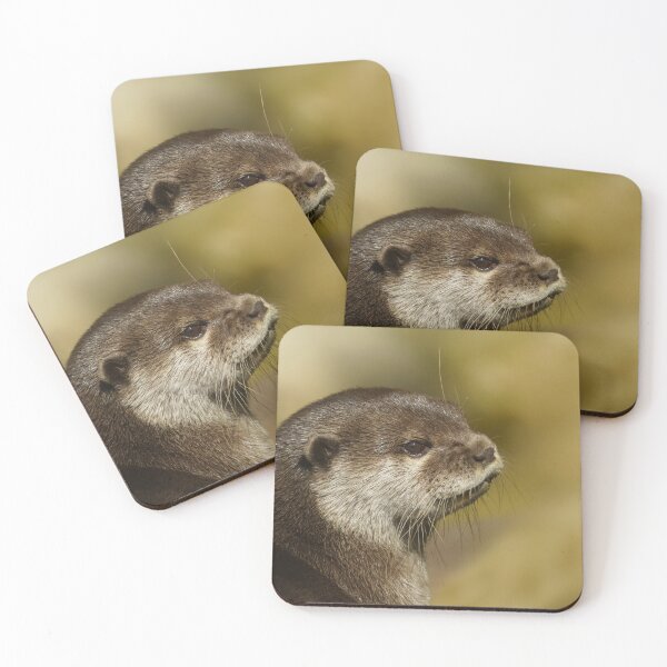 Item preview, Otter Looking Over His Shoulder designed and sold by rawshutterbug.