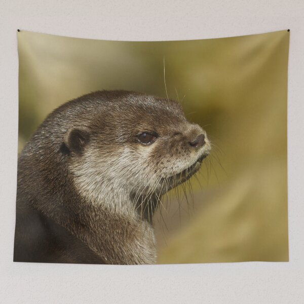 Item preview, Otter Looking Over His Shoulder designed and sold by rawshutterbug.