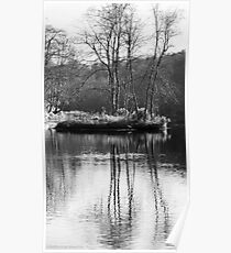 Winter tree reflections Poster