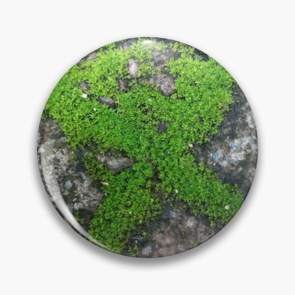 Item preview, Nature  designed and sold by Paint84.