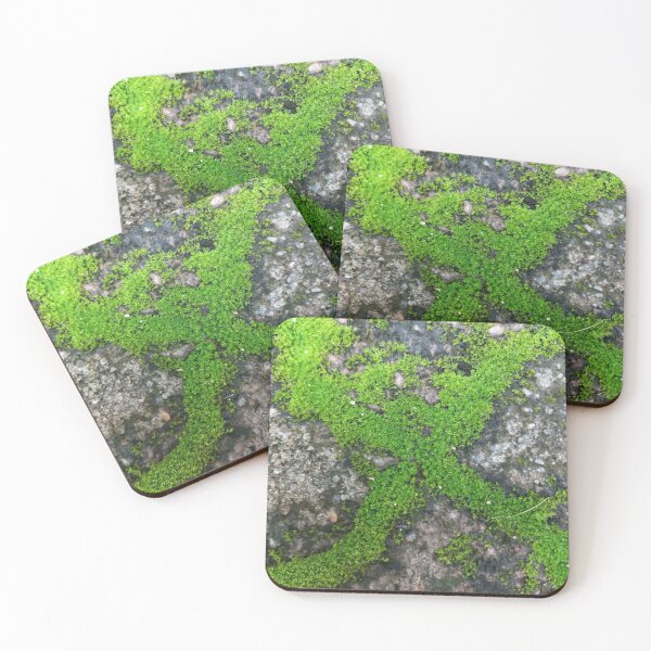 Item preview, Nature  designed and sold by Paint84.