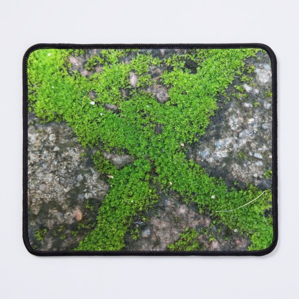 Item preview, Nature  designed and sold by Paint84.
