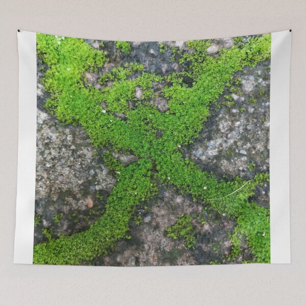 Item preview, Nature  designed and sold by Paint84.