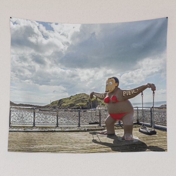 Item preview, Nansi the Mumbles Pier Mascot designed and sold by heidipics.