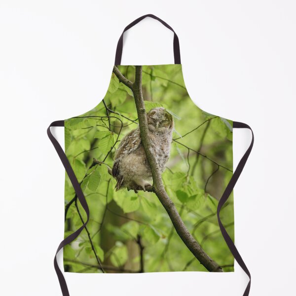 Item preview, Tawny Owl Roosting designed and sold by heidipics.