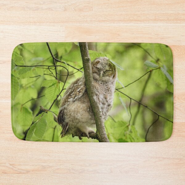 Item preview, Tawny Owl Roosting designed and sold by heidipics.