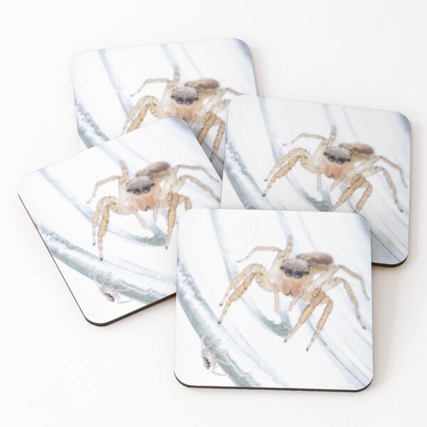 Item preview, Jumping spider mom & spiderling designed and sold by spiderdaynight.