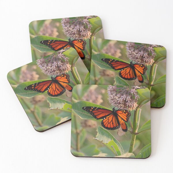 Item preview, Monarch (Danaus plexippus) at Sunset designed and sold by spiderdaynight.
