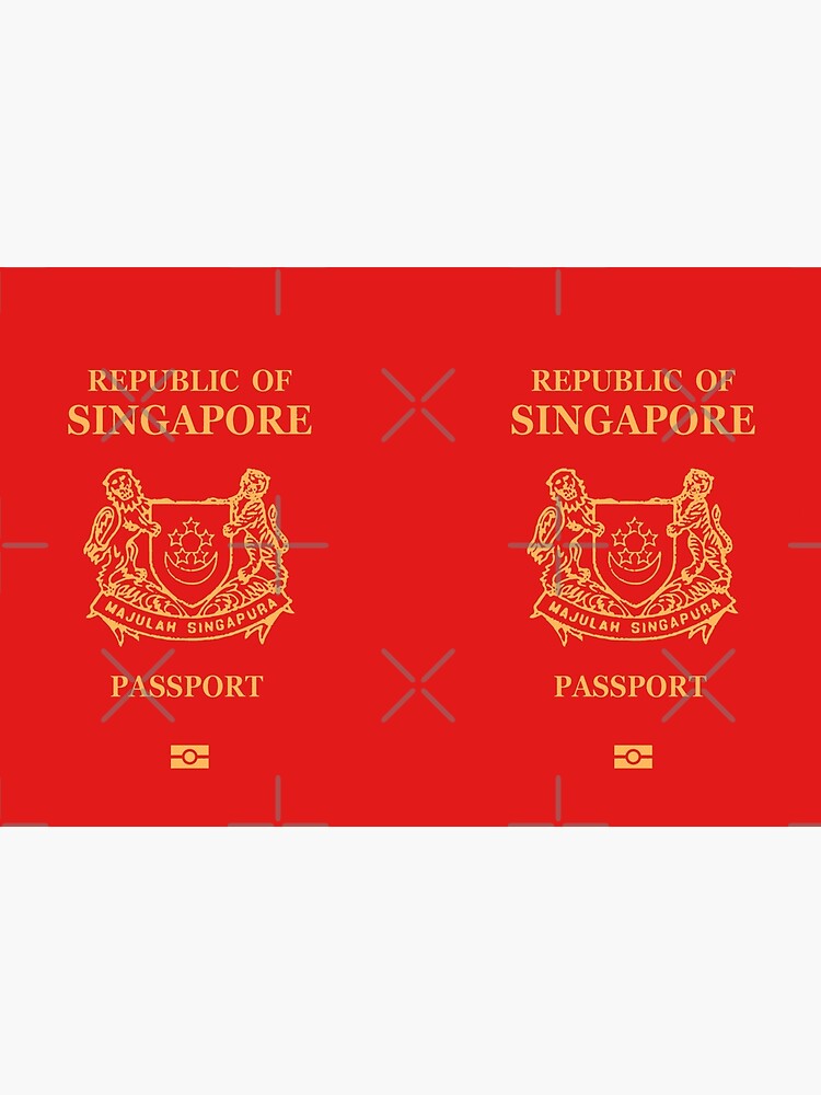 街と世界を巡る旅 : Supplement:りゅうたま 2nd passport