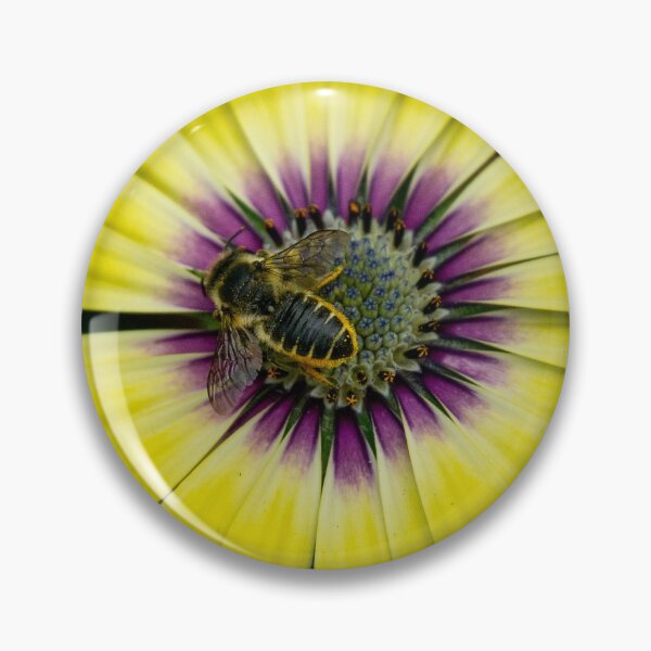 Item preview, Leafcutter (Megachile sp.) on Aster designed and sold by spiderdaynight.