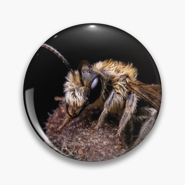 Item preview, Mining Bee (Andrena sp.) designed and sold by spiderdaynight.