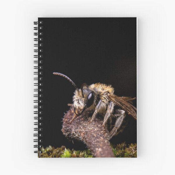 Item preview, Mining Bee (Andrena sp.) designed and sold by spiderdaynight.