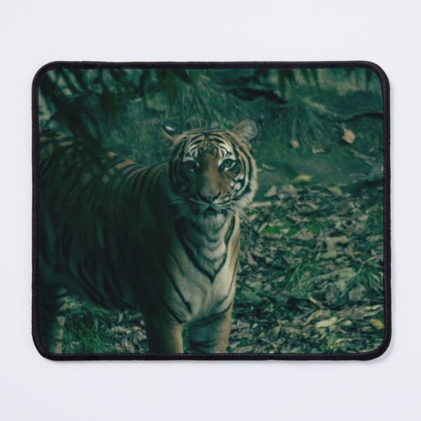 Item preview, Fierce designed and sold by Dwilphoto.
