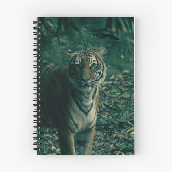 Item preview, Fierce designed and sold by Dwilphoto.