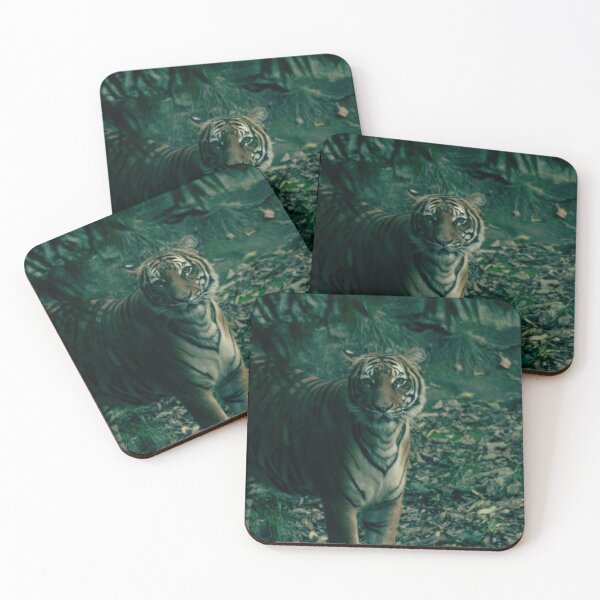 Item preview, Fierce designed and sold by Dwilphoto.