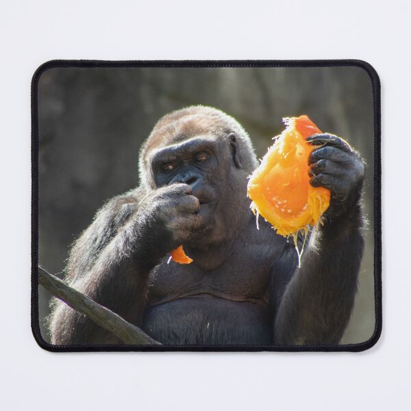 Item preview, Lunch Time designed and sold by Dwilphoto.