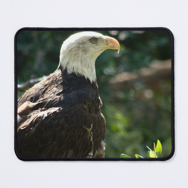 Item preview, Patriotic designed and sold by Dwilphoto.