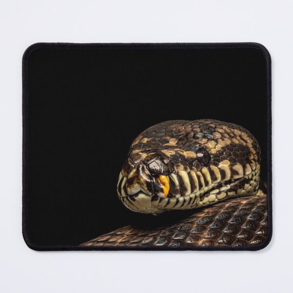 Item preview, Berber the Irian Carpet Python designed and sold by spiderdaynight.