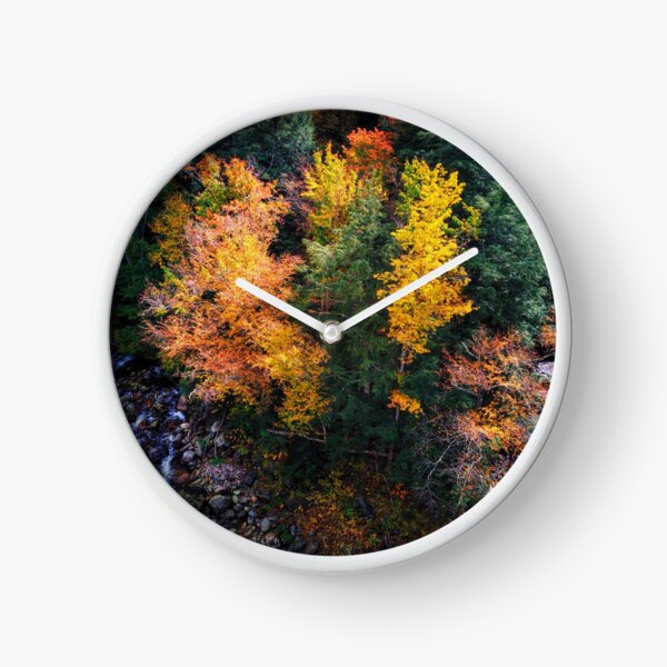 Aerial view of Fall colors trees Clock