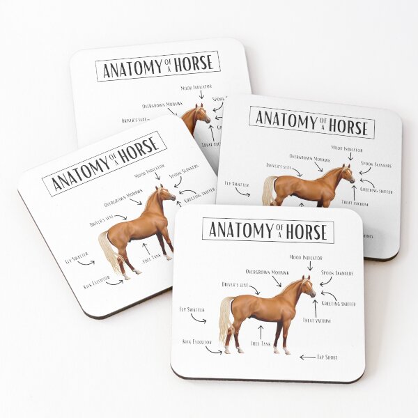 Item preview, Anatomy of a horse designed and sold by Real Equestrian.