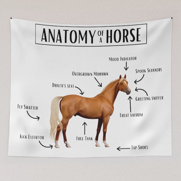 Item preview, Anatomy of a horse designed and sold by Real Equestrian.