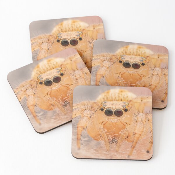 Item preview, Gaze of a Jumping Spider designed and sold by spiderdaynight.