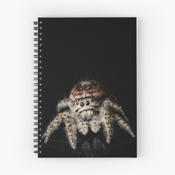 Item preview, Putnam's Jumping Spider (Phidippus putnami) designed and sold by spiderdaynight.