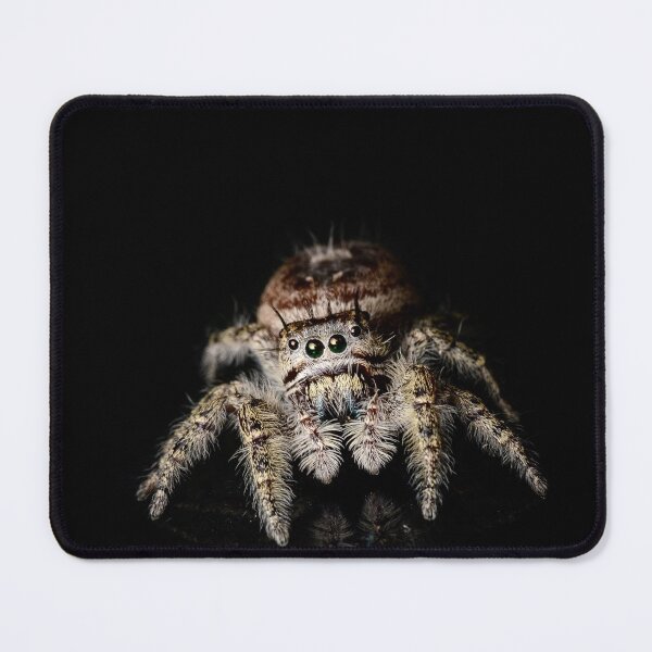 Item preview, Putnam's Jumping Spider (Phidippus putnami) designed and sold by spiderdaynight.