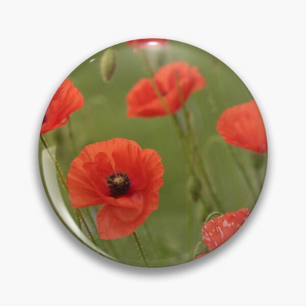 Item preview, Digital photograph of poppies designed and sold by SimonJohnson1.