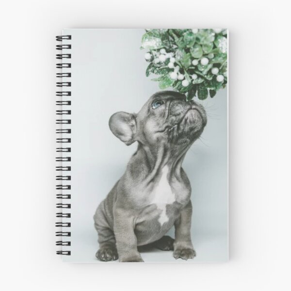 Item preview, Cute Dog Under The Mistletoe For Christmas designed and sold by Teepocalypse.