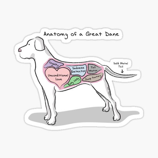 Anatomy of a Great Dane Sticker