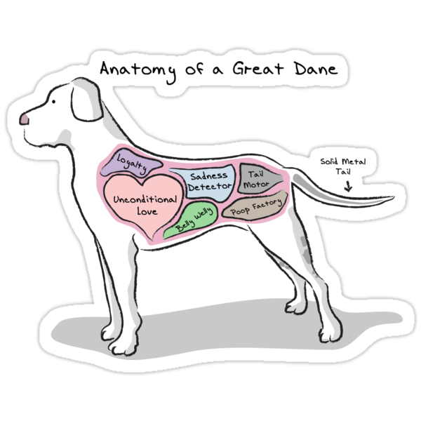 "Anatomy of a Great Dane" Stickers by MommySketchpad | Redbubble