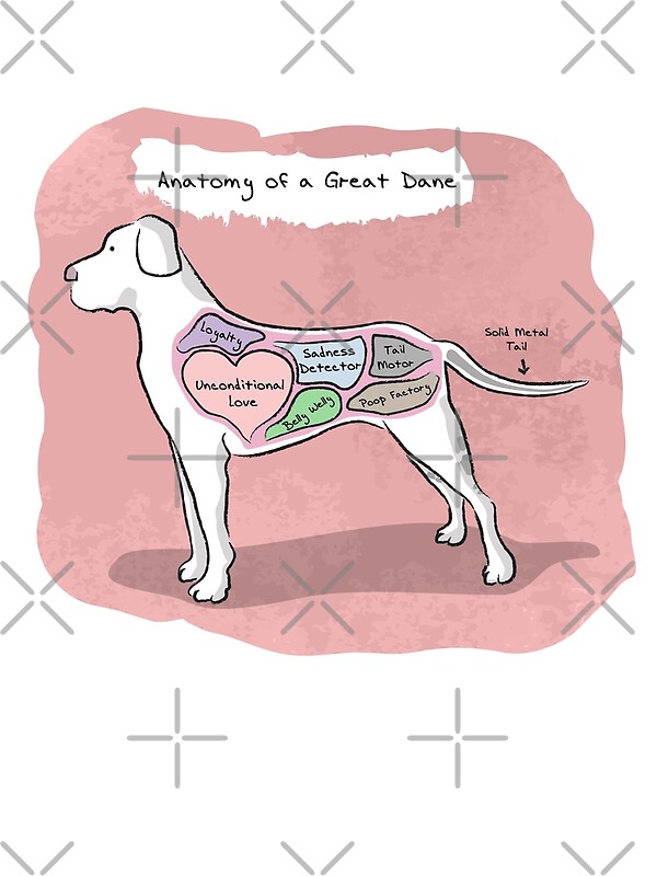 "Anatomy of a Great Dane" Posters by MommySketchpad | Redbubble