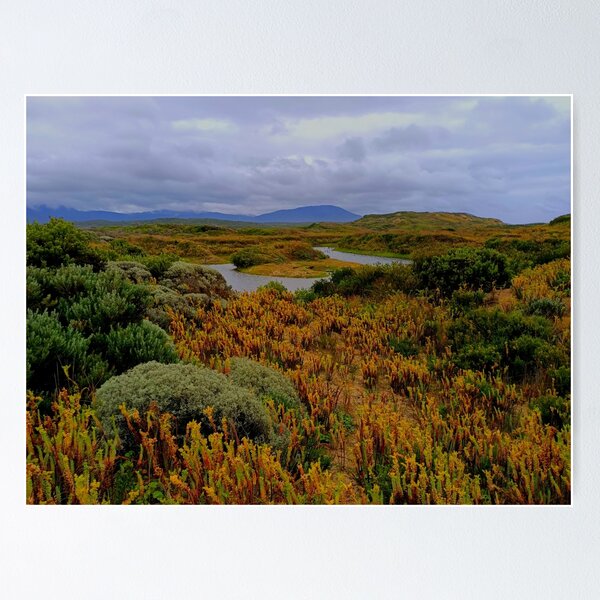 Item preview, Path to the Whisky Bay | Wilsons Promotory National Park | Victoria | Australia designed and sold by iwaya-bazaar.