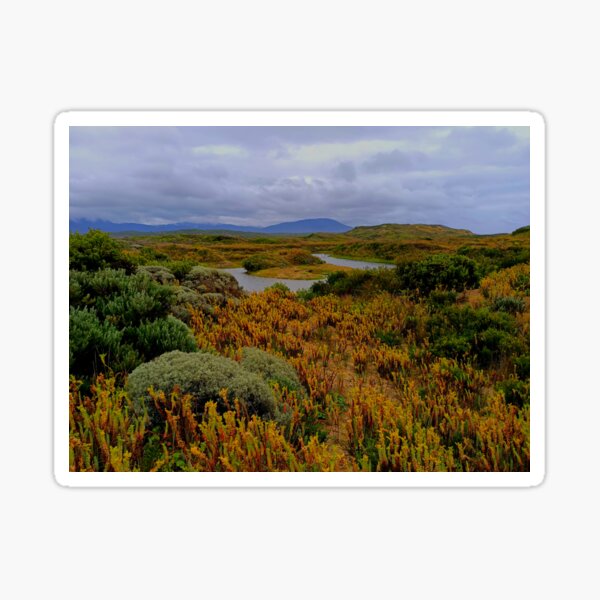 Path to the Whisky Bay | Wilsons Promotory National Park | Victoria | Australia Sticker