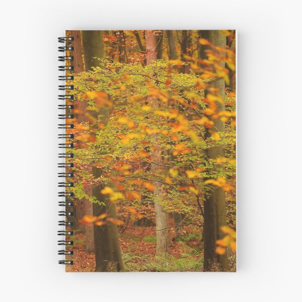 Aperçu de l'œuvre Photographie numérique de feuilles d'automne créée et vendue par SimonJohnson1.