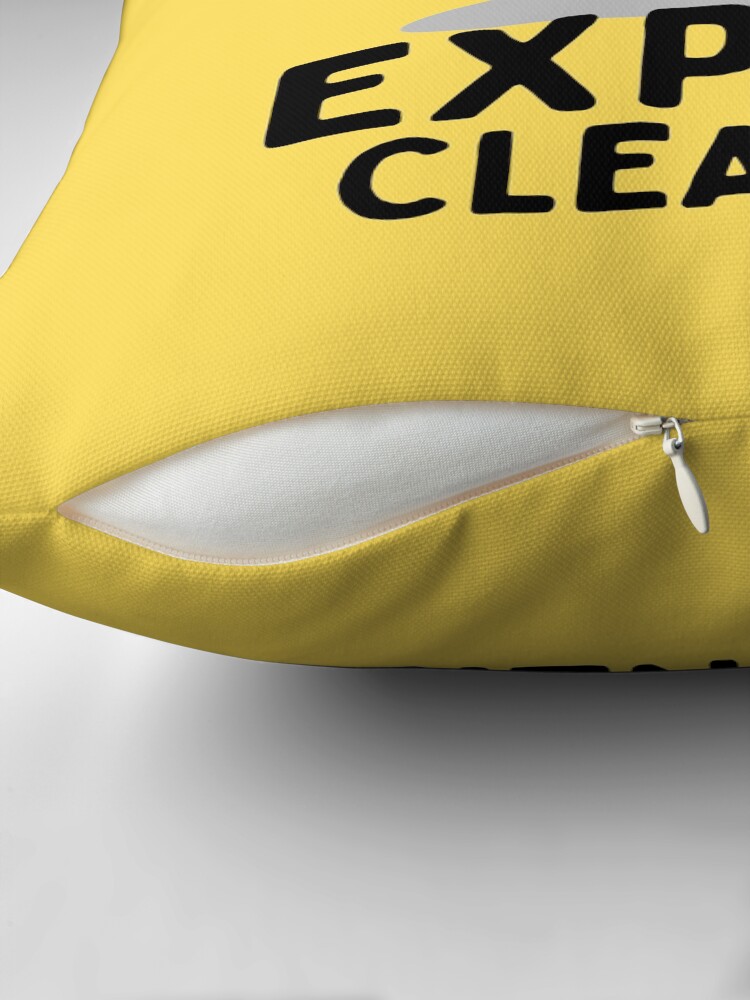 Thumbnail 2 of 4, Pillow, I'm Kind of An Expert Housekeeping Novelty Cleaning Supplies Gifts designed and sold by SavvyCleaner.