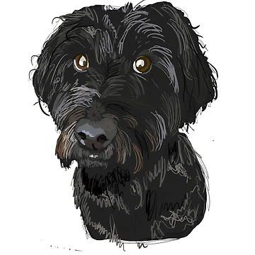 Artwork thumbnail, Cockapoo by RachRulu