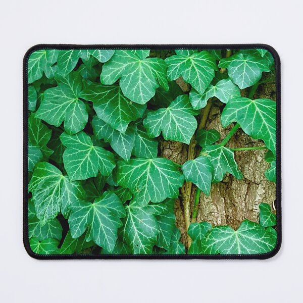 Item preview, Ivy twine on a tree designed and sold by PeppaThePenguin.