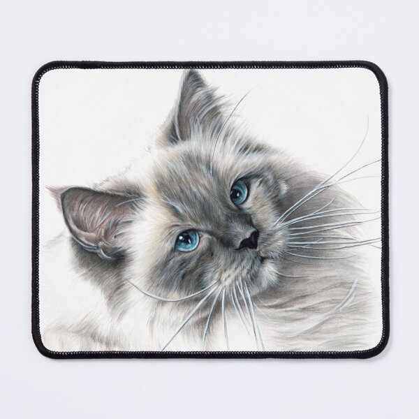 Aperçu de l'œuvre Dessin d'art au crayon de couleur de chat Ragdoll aux yeux bleus créée et vendue par SemaMartinArt.