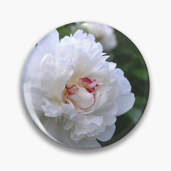 Item preview, White Peonies designed and sold by Kathleen Brant.