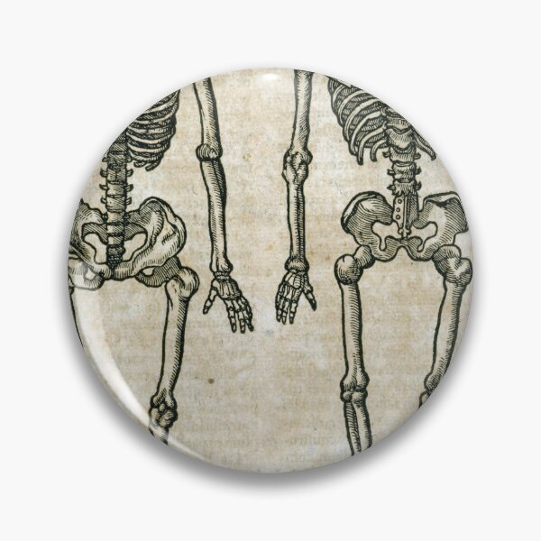 Item preview, Malpighi Skeleton designed and sold by Lloyd Library & Museum.