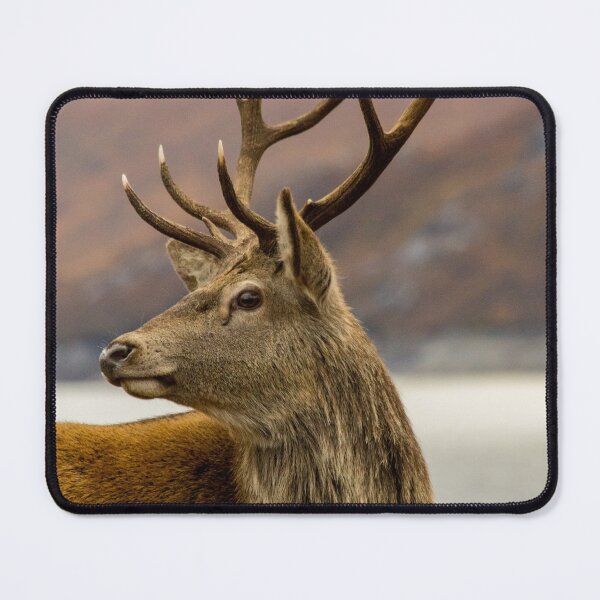 Item preview,  Autumnal Stag designed and sold by derekbeattie.