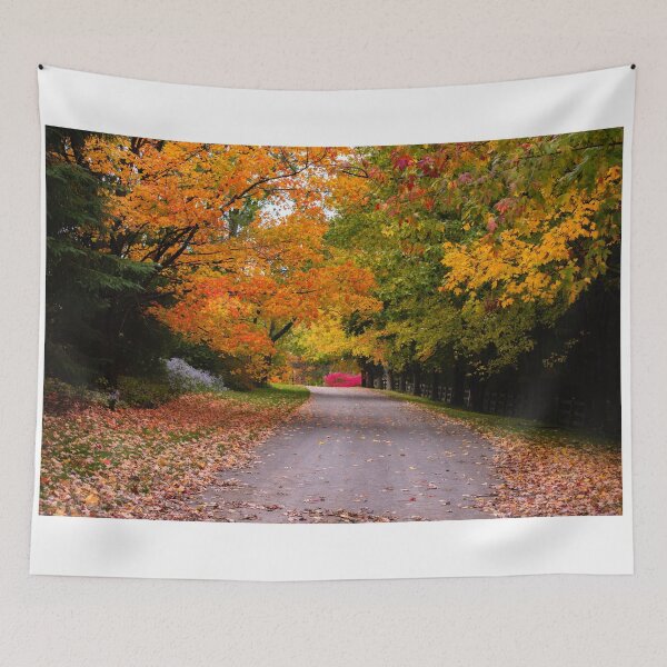 Item preview, The Road Less Traveled designed and sold by AnnoyedMouse.