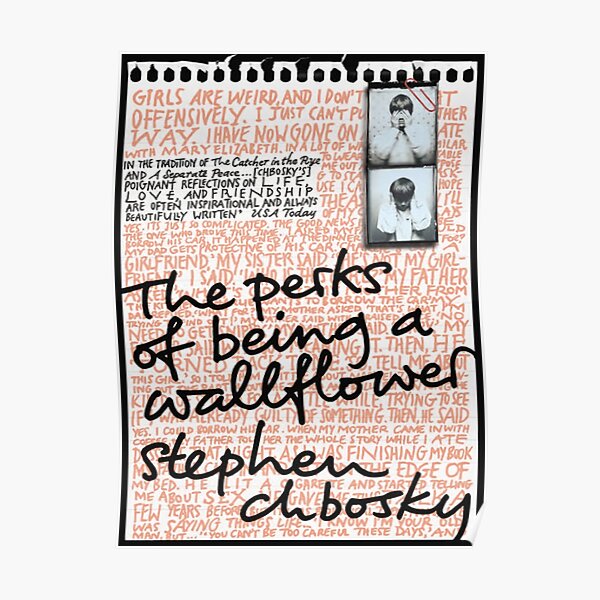 The Perks Of Being A Wallflower Poster