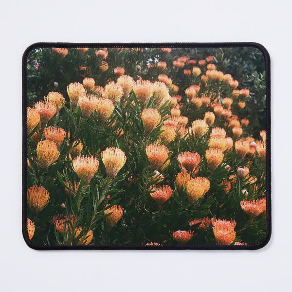 Item preview, Orange Pincushion designed and sold by DieSlang.